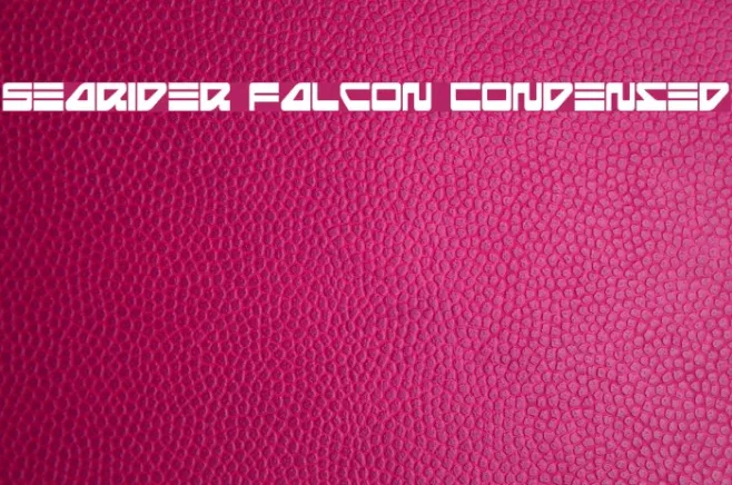 Searider Falcon Condensed Example 3