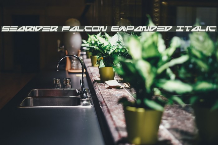 Searider Falcon Expanded Italic Font examples