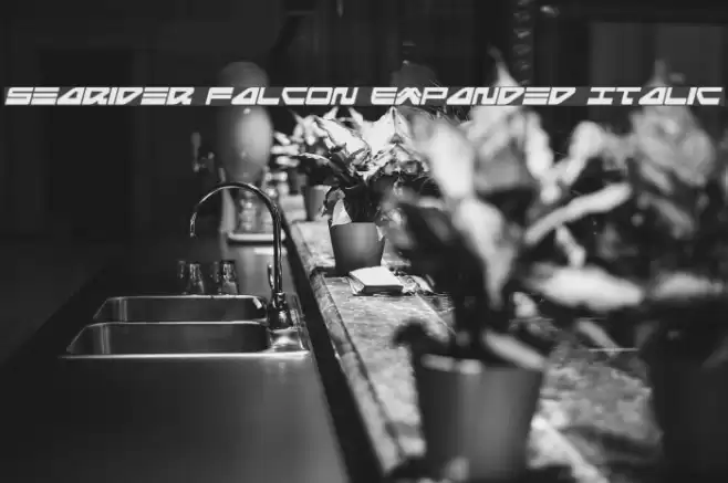 Searider Falcon Expanded Italic Font examples