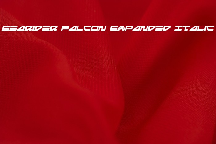 Searider Falcon Expanded Italic Font examples