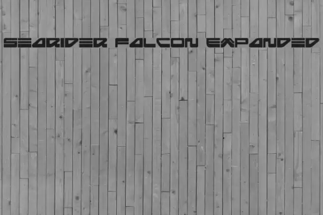 Searider Falcon Expanded フォント examples