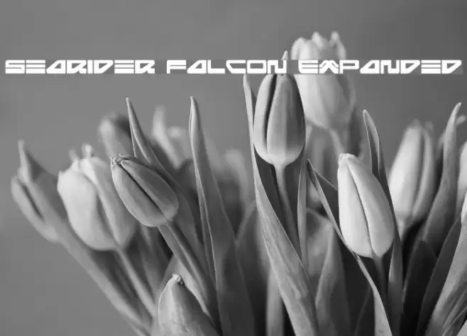 Searider Falcon Expanded フォント examples