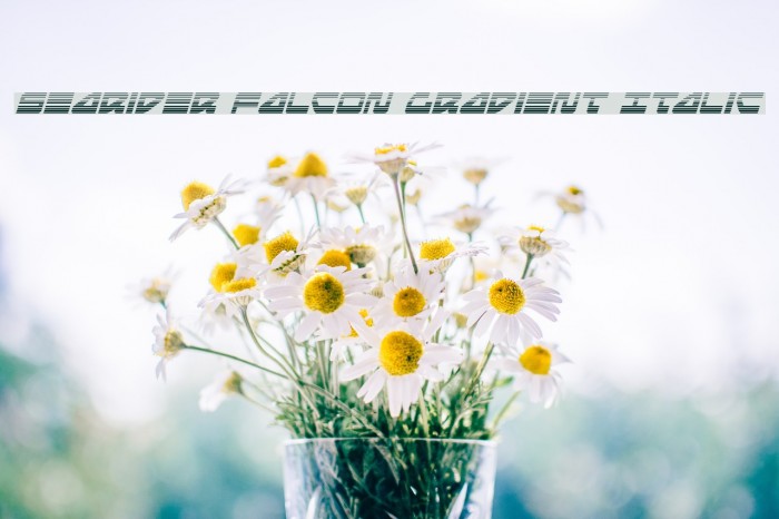 Searider Falcon Gradient Italic Example 1