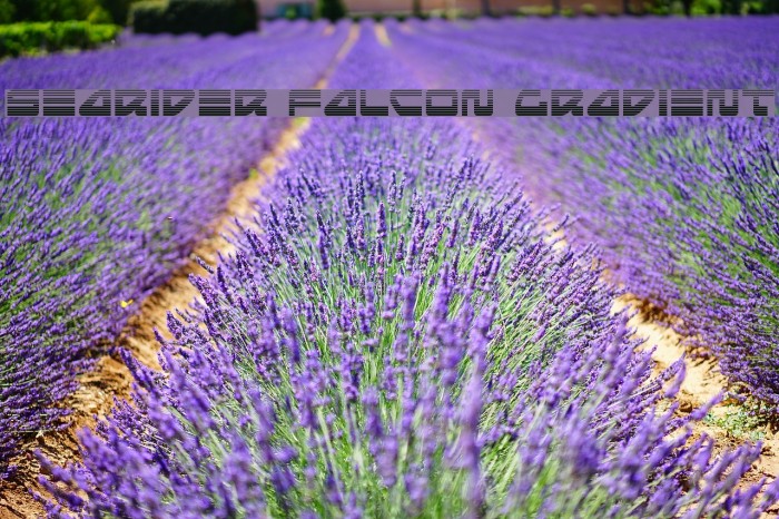 Searider Falcon Gradient Example 2