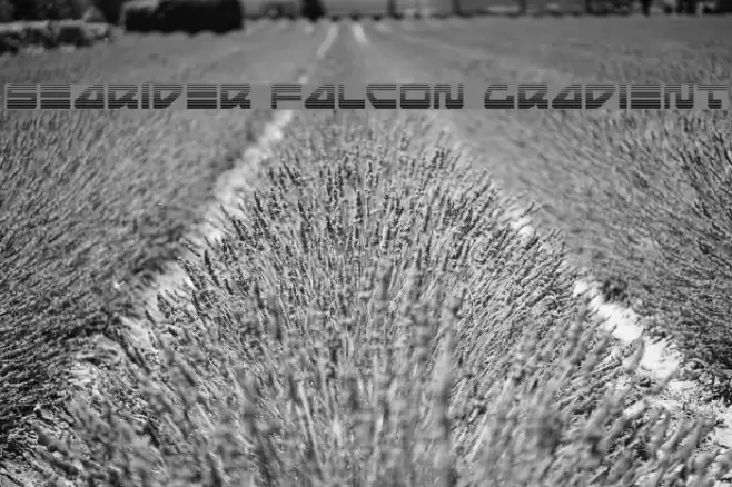 Searider Falcon Gradient Font examples