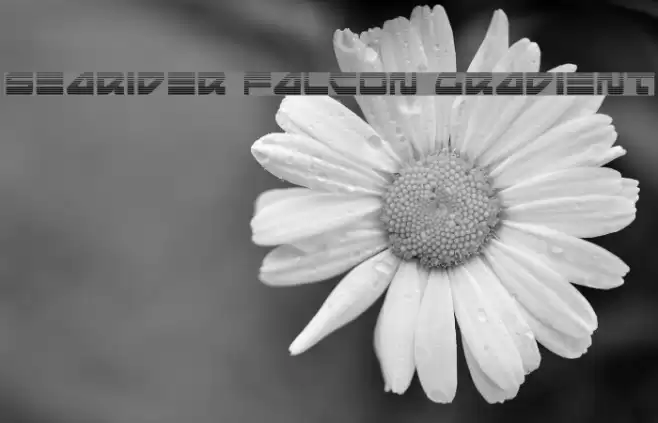 Searider Falcon Gradient Font examples
