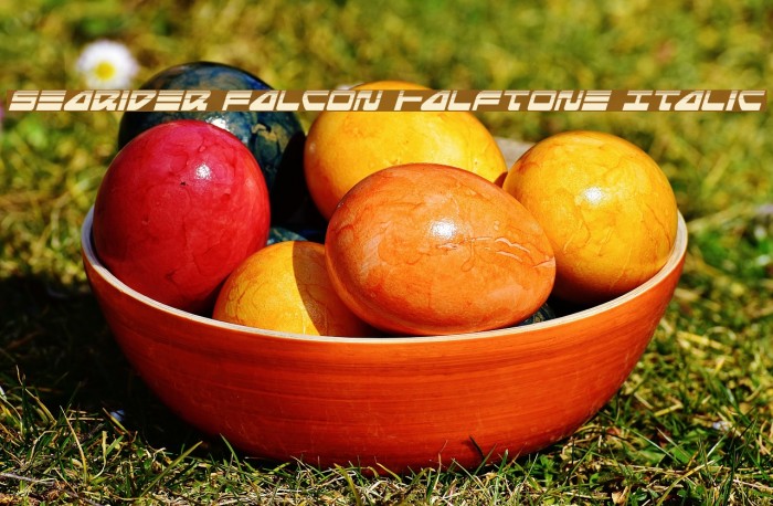 Searider Falcon Halftone Italic Example 2