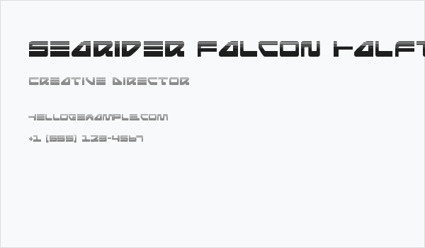 Searider Falcon Halftone Business Card