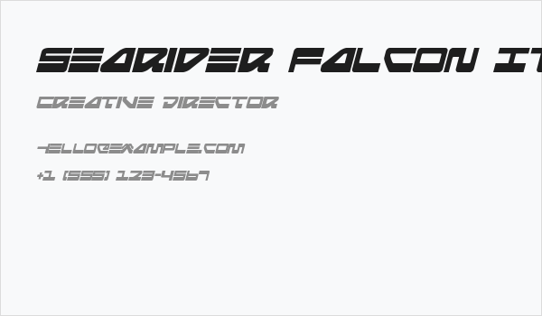 Searider Falcon Italic Business Card