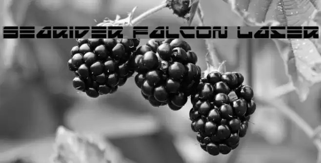 Searider Falcon Laser Font examples