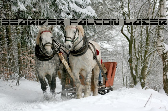 Searider Falcon Laser Example 3