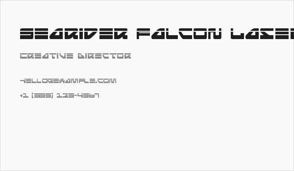 Searider Falcon Laser Business Card