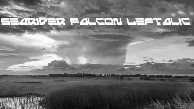 Searider Falcon Leftalic Font examples