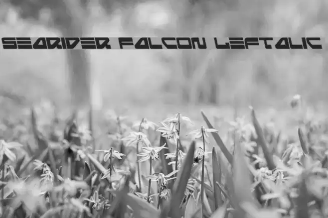Searider Falcon Leftalic Font examples