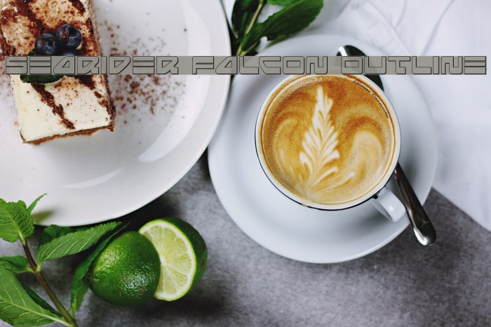 Searider Falcon Outline Example 3