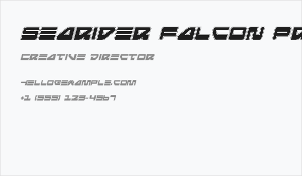 Searider Falcon Pro Italic Business Card