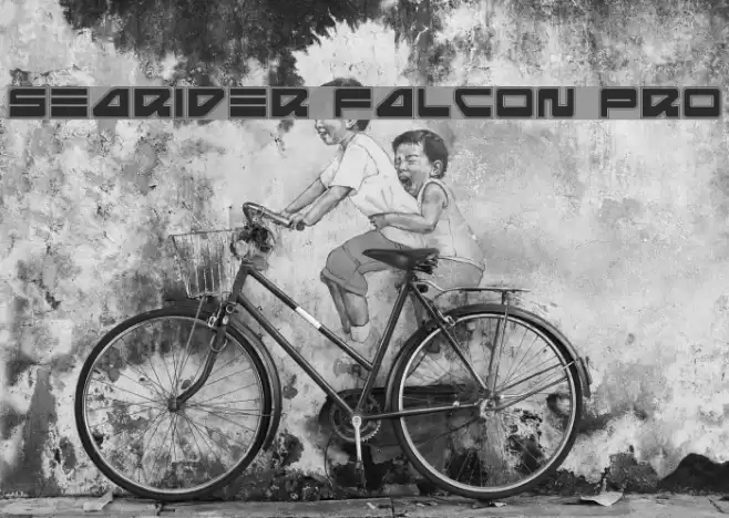 Searider Falcon Pro フォント examples