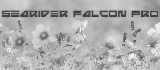 Searider Falcon Pro フォント examples