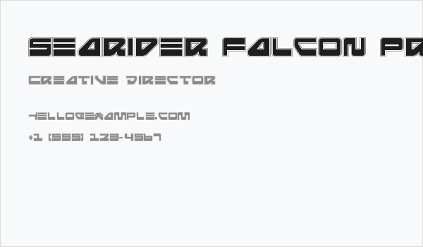 Searider Falcon Pro Business Card
