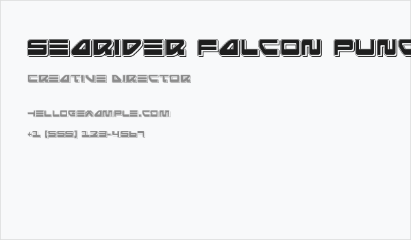 Searider Falcon Punch Business Card
