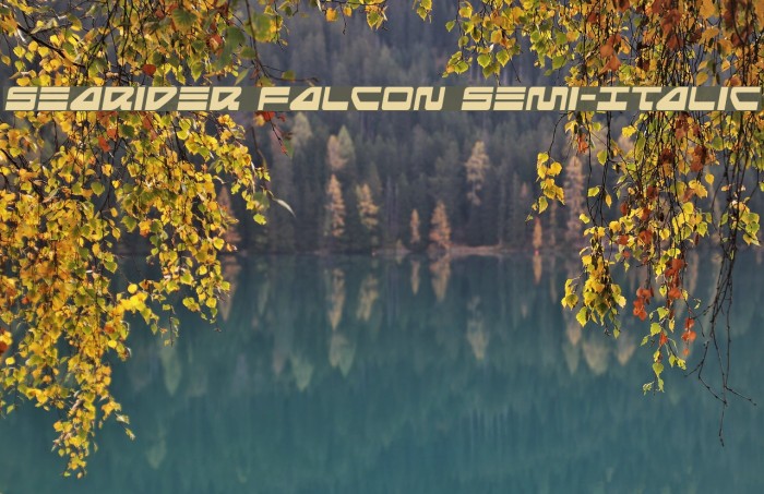 Searider Falcon Semi-Italic Example 1