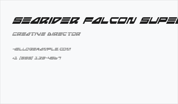 Searider Falcon Super-Italic Business Card