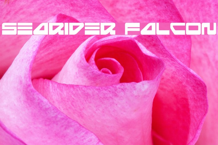 Searider Falcon フォント examples