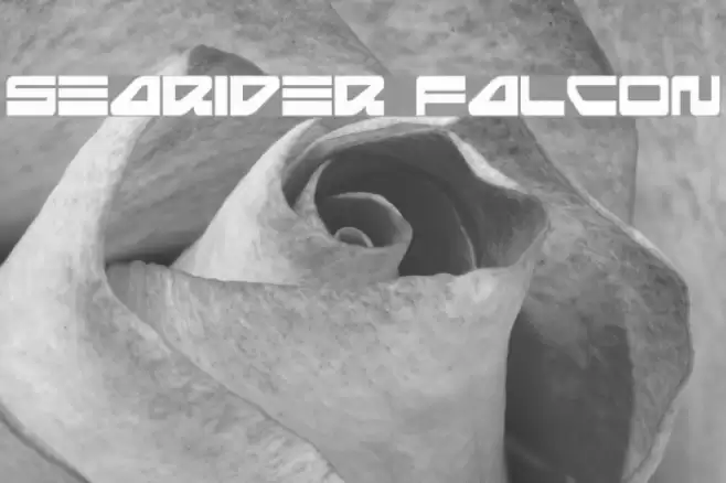 Searider Falcon フォント examples