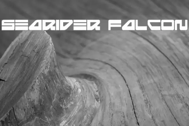 Searider Falcon フォント examples