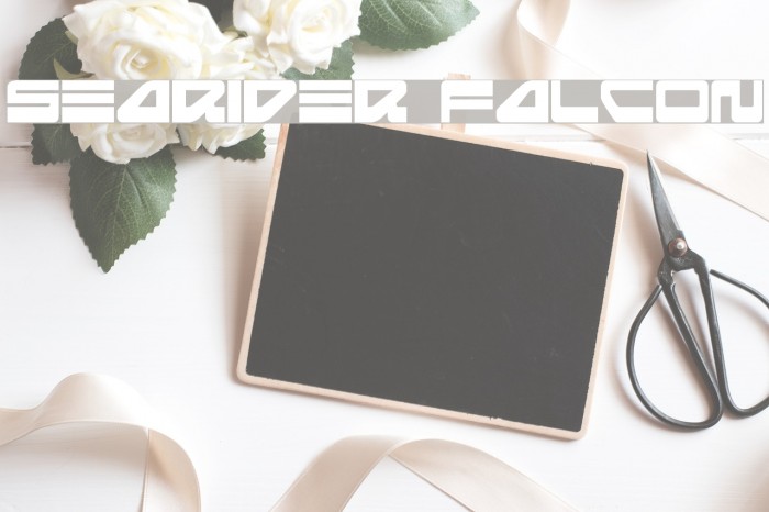 Searider Falcon フォント examples
