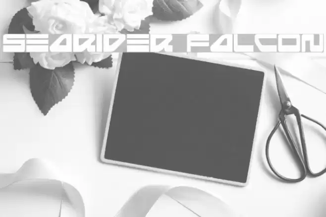 Searider Falcon フォント examples