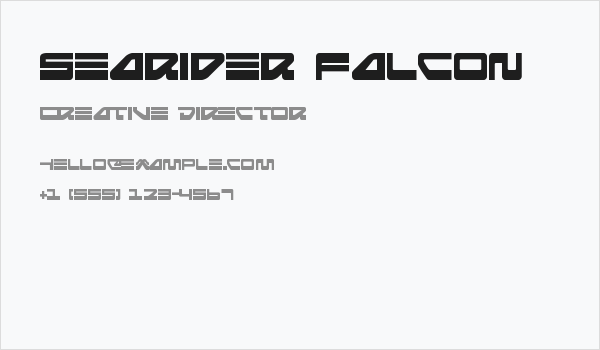 Searider Falcon Business Card