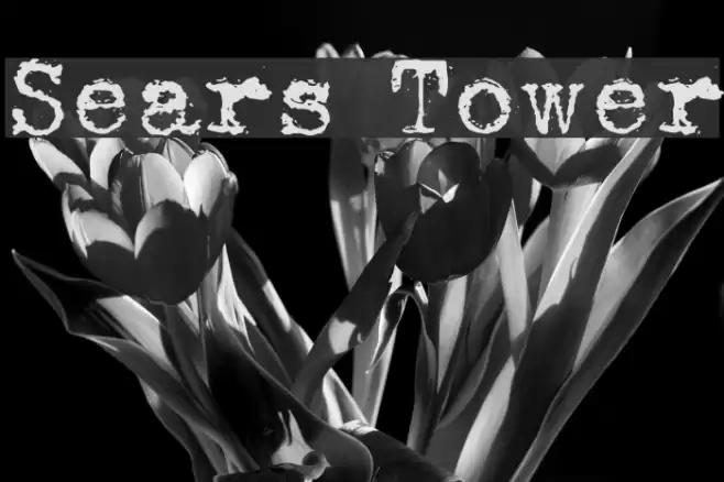 Sears Tower Font examples