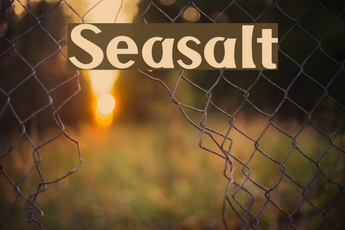 Seasalt Font examples