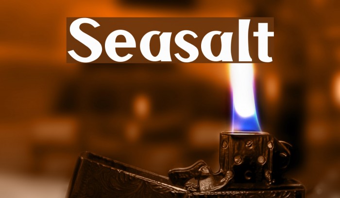 Seasalt Font examples