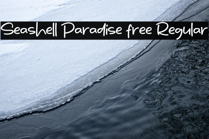 Seashell Paradise free Regular Example 3