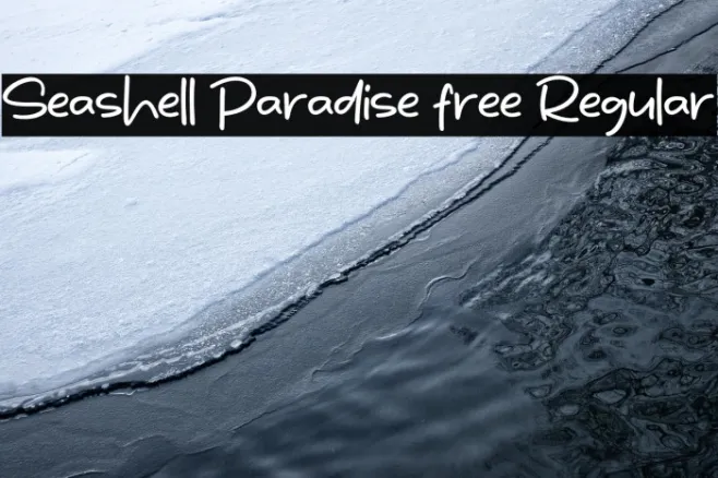 Seashell Paradise free Regular Example 3