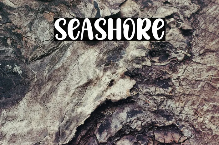 Seashore Example 1