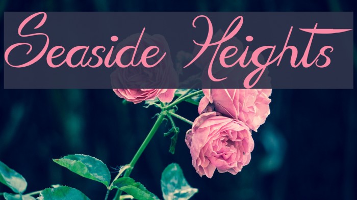 Seaside Heights Font examples