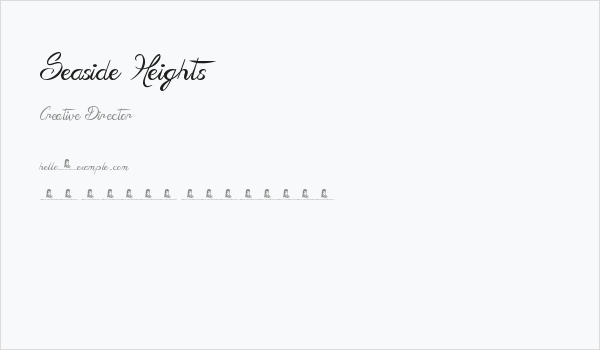 Seaside Heights Business Card