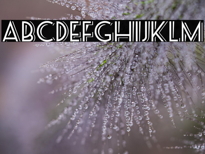 SeasideResortNF Example 1