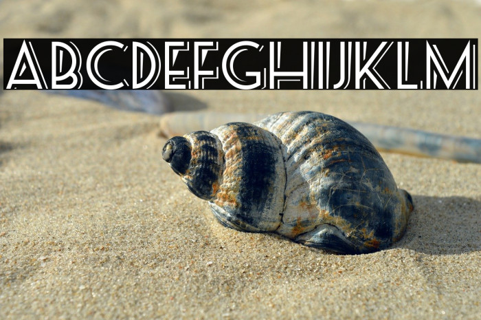 SeasideResortNF Example 3