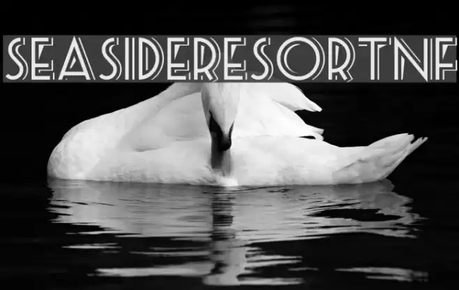 SeasideResortNF Font examples