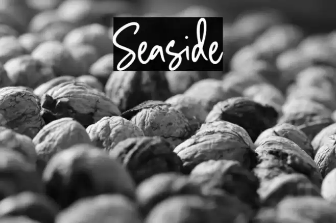 Seaside Font examples
