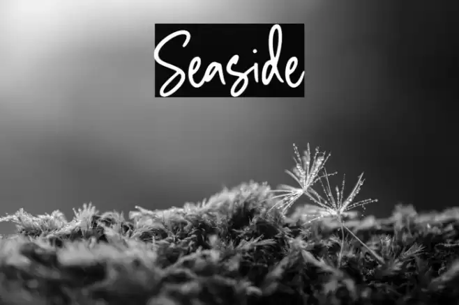 Seaside Font examples