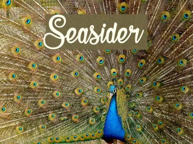 Seasider Example 3