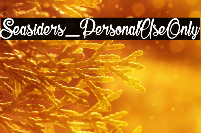 Seasiders_PersonalUseOnly Example 3