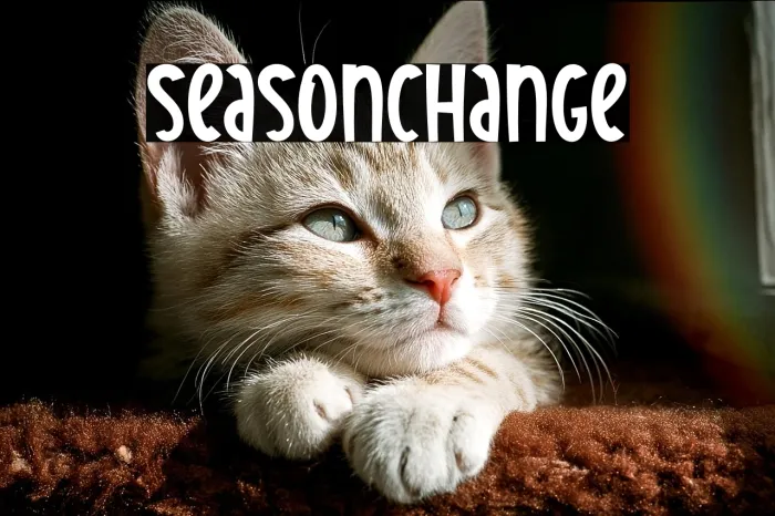 Season Change Example 3