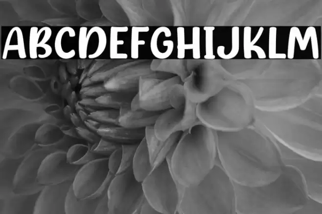 Season Prime Font examples