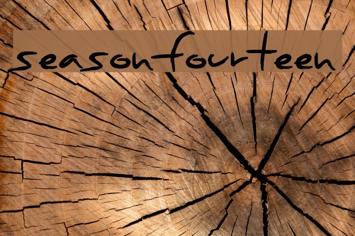 SeasonFourteen Font examples